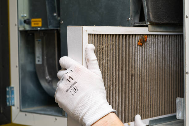 Best General Air Duct Cleaning  in Elm City, NC